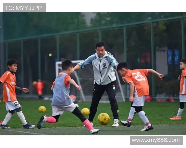 中国足球是否应该依赖球星驱动发展与全面提升竞技水平的平衡探讨