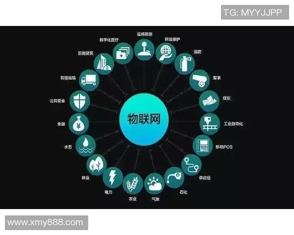 珠海球星卡店足球发展现状与未来潜力分析 珠海球星卡店足球发展现状与未来潜力分析